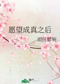 愿望成真之后